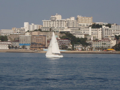 PA080134