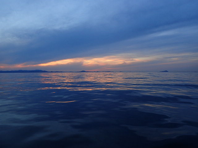 P4260146 (2)