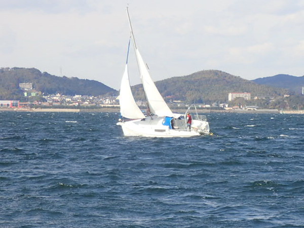 PB250024