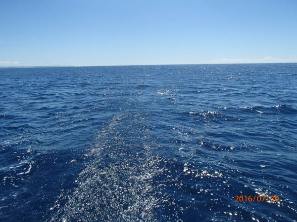 P7300033