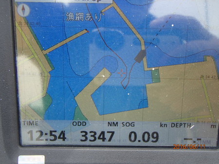 P6110004