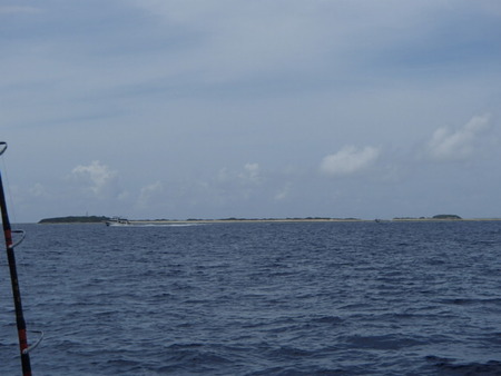 P8100015