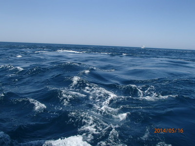 P5160051