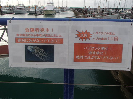 P8060007