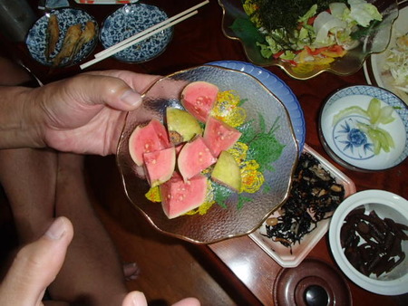 P8120040