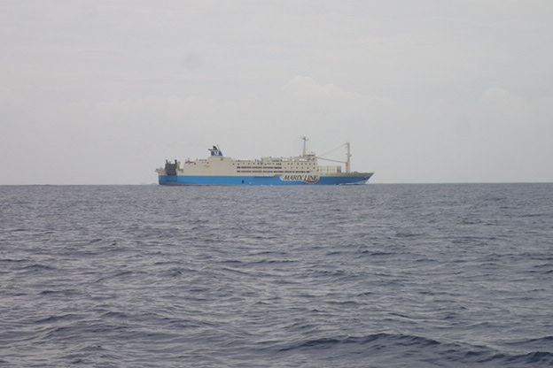 P5030078