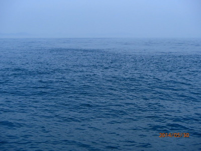 P5300034