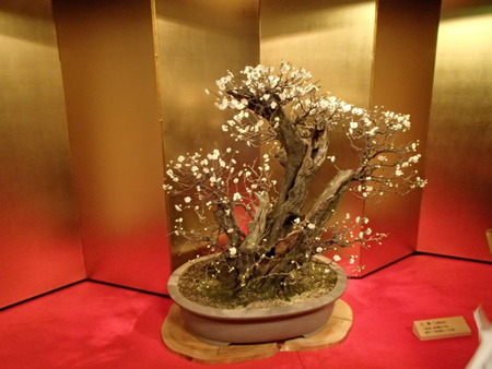 P2070106
