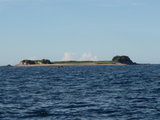 布施田大島