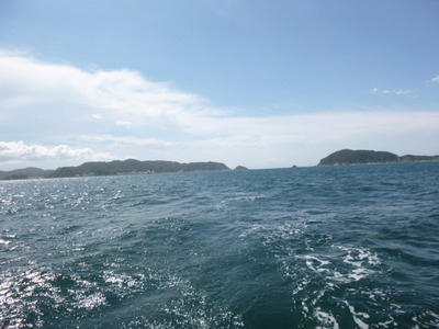 P1000288