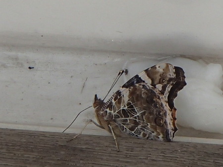 P9040017
