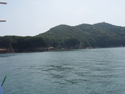 P8110207