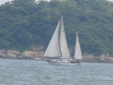 P7120304バルボアセーリング