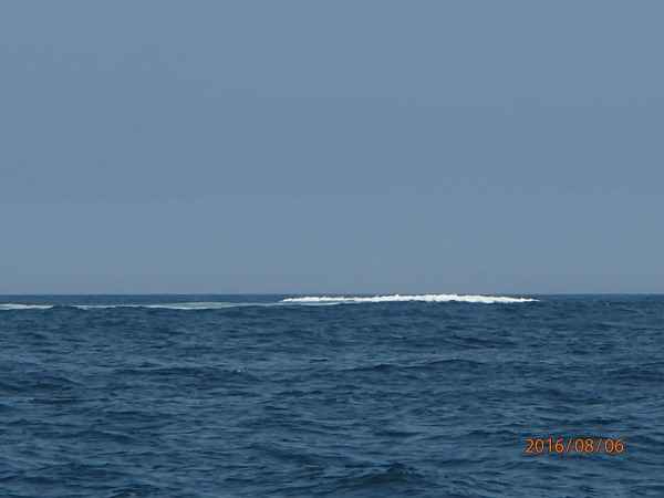 P8060022