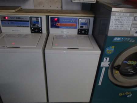 P7290013 (2)