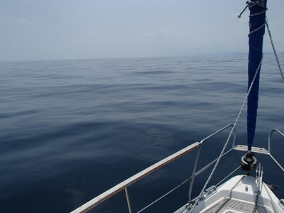 P5040007 (2)