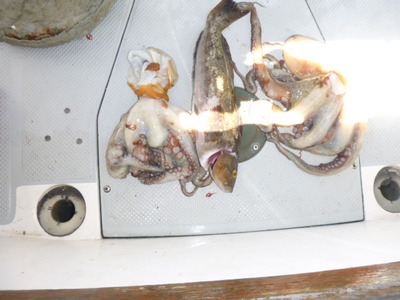 P1000326