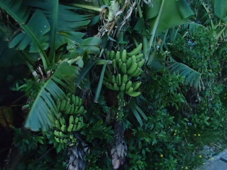 P8290041