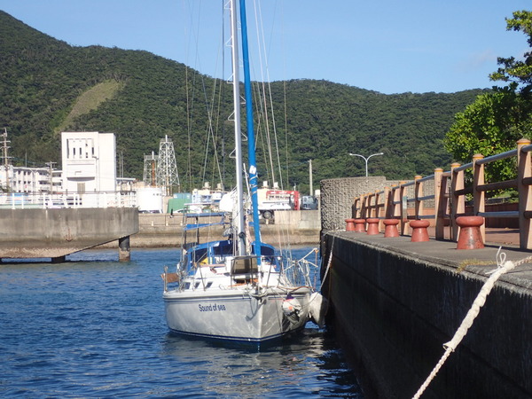P7150048 (2)