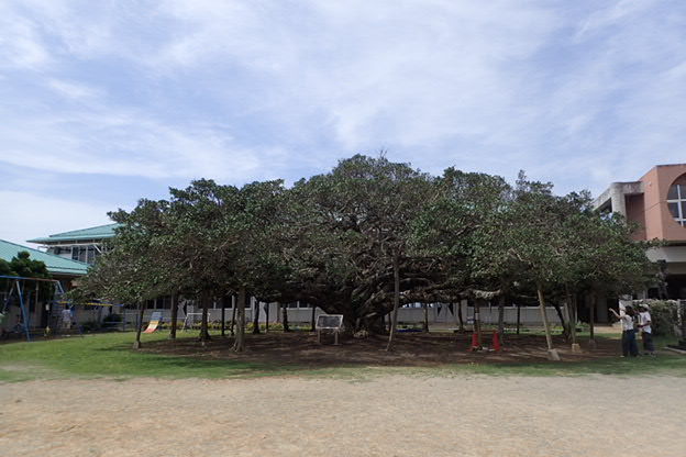 P5030096