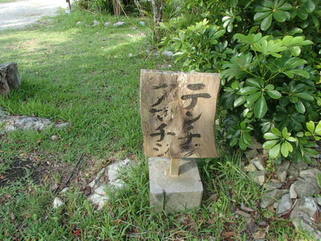 P8260023
