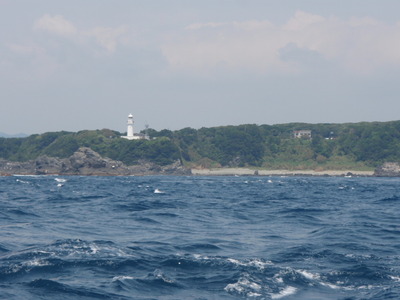 P8130294