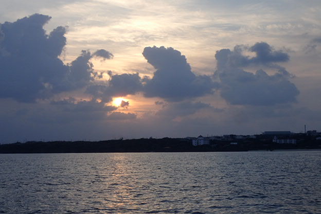 P5050239