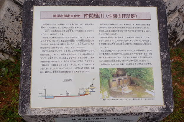 P5080033