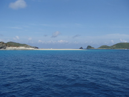 P8110107