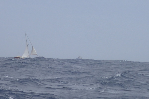 P7060061