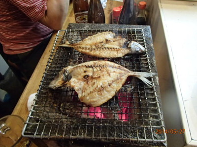 P5270027