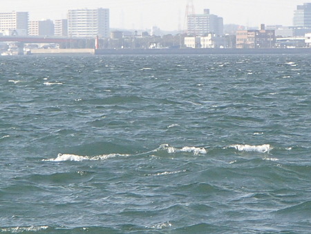 P3140019