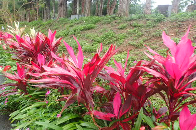 P4300030