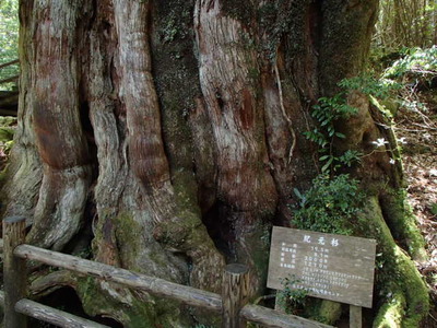 P5090015