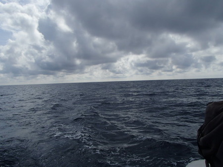 P5030032