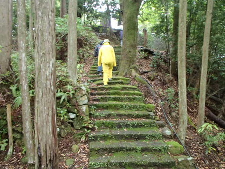 P5030055