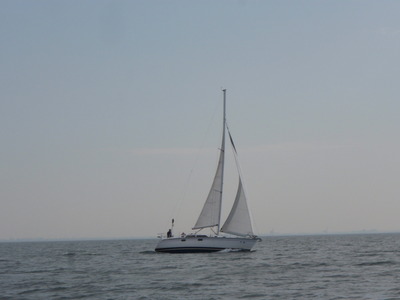 P2050118