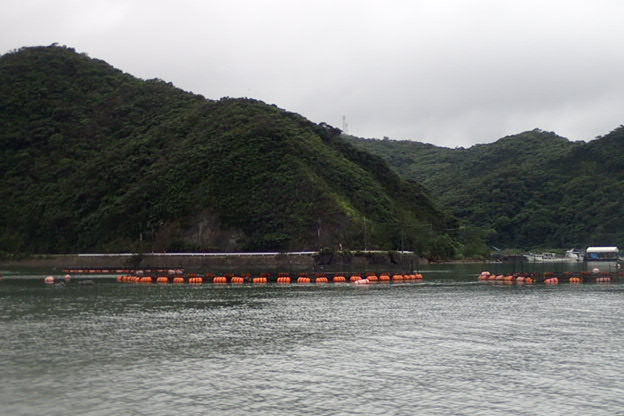 P5010004