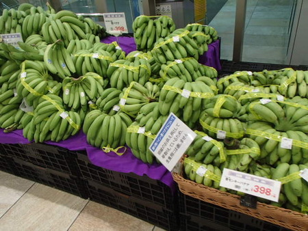 P8230005