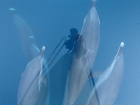 P7310043