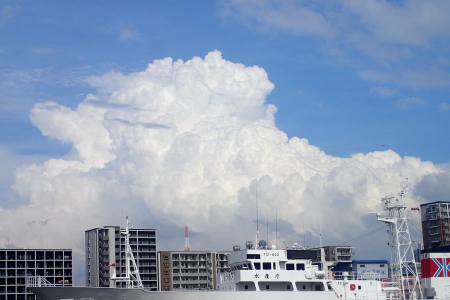 P9030062