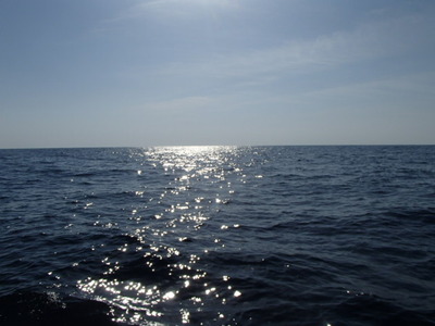 P5070008