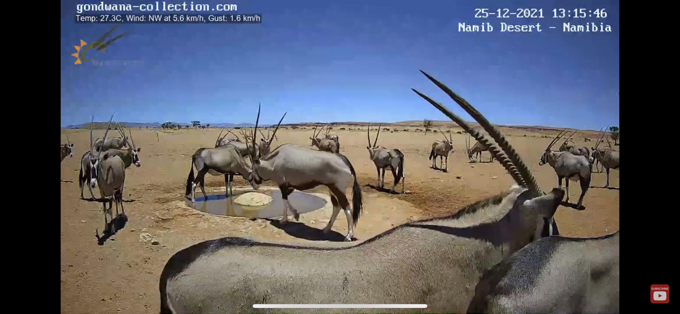 ナミブ砂漠 オリックスしかいない オリックス ブルベルまとめブログ ナミブ砂漠 オリックスしかいない オリックス ブルベルまとめブログ