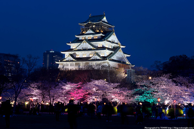 osakajo_sakura_night2012_01