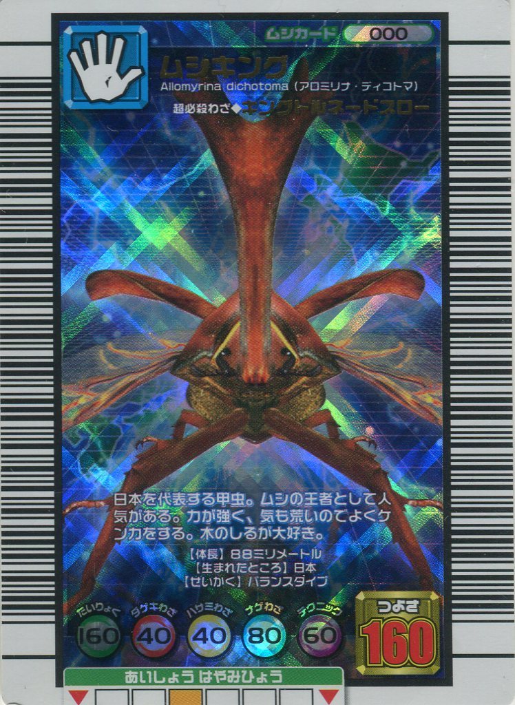 o337016025.1