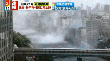 livejupiter_1536042841_46307