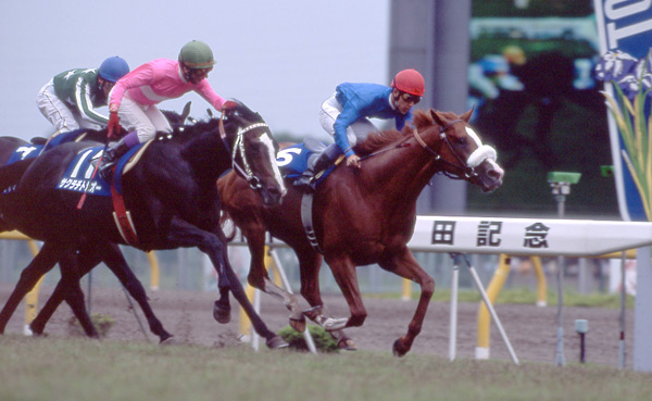 1995yasudakinen