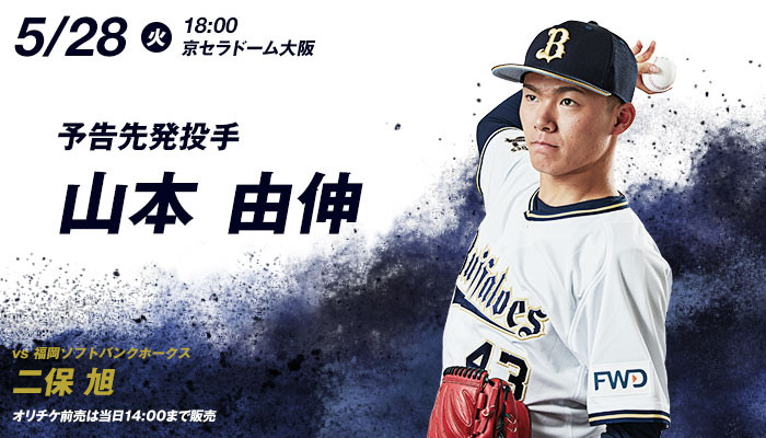 pitcher_0528