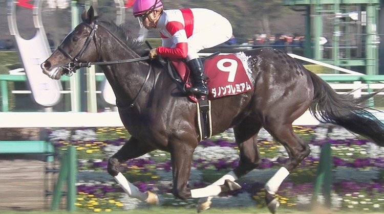弥生賞ダノンプレミアム川田2
