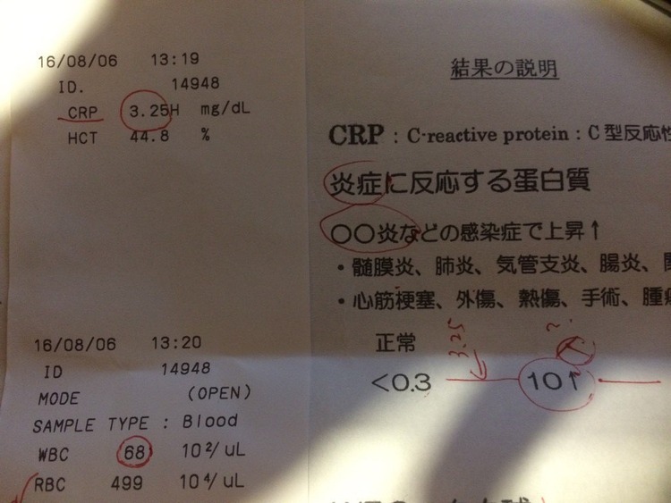 CpN7jvCVUAIbOv3